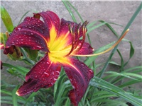 32ed1265-Picture 137.jpg